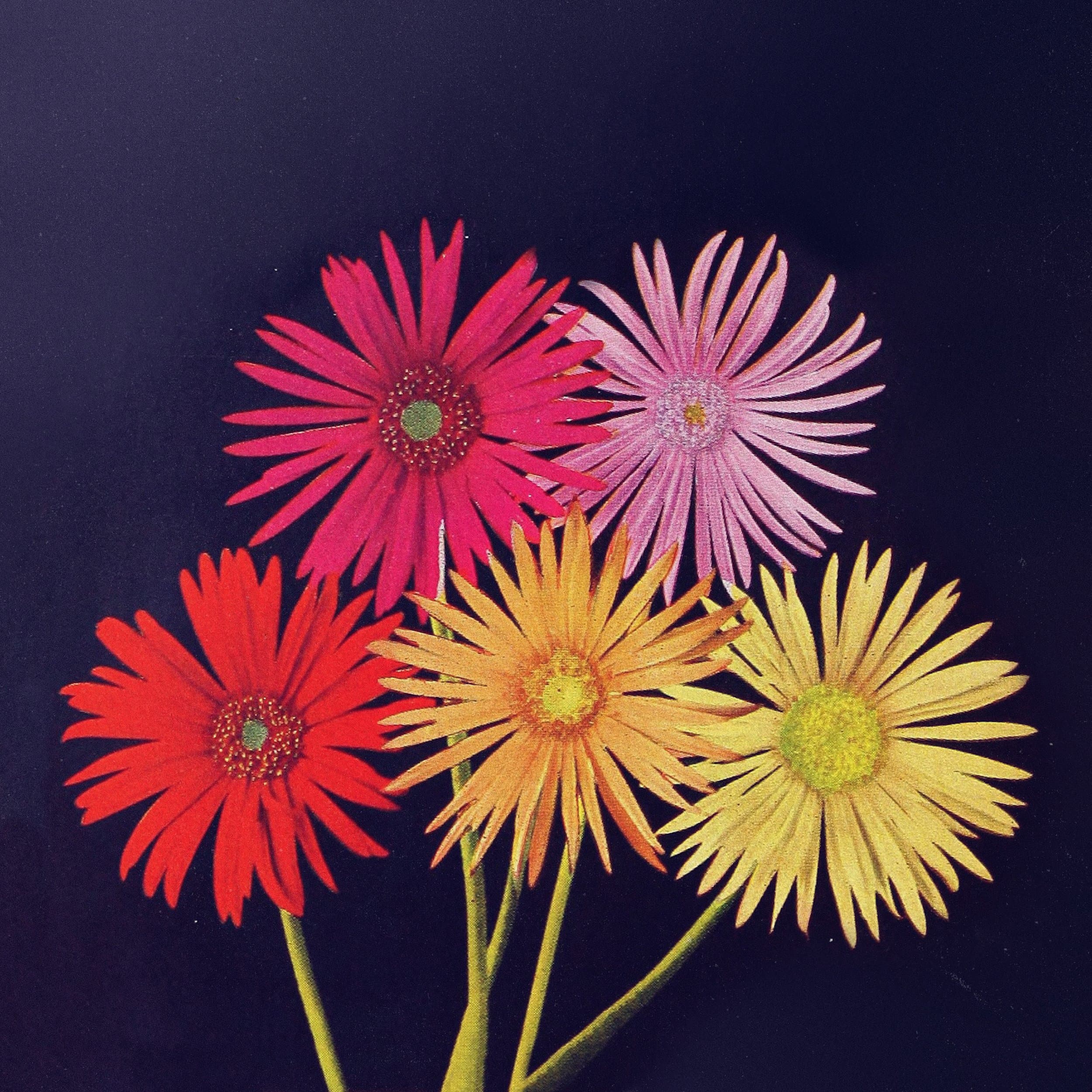 COLOR BOX Album Art